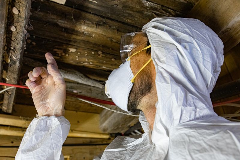 Inside Crawl Space - Moisture Issues